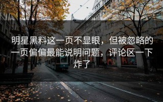 明星黑料这一页不显眼，但被忽略的一页偏偏最能说明问题，评论区一下炸了