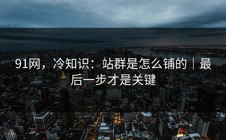 91网，冷知识：站群是怎么铺的｜最后一步才是关键-第1张图片-麻豆传媒数据情报站
