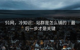 91网，冷知识：站群是怎么铺的｜最后一步才是关键
