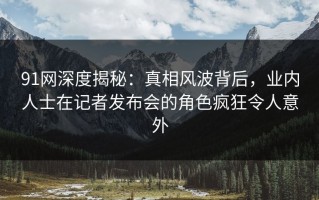 91网深度揭秘：真相风波背后，业内人士在记者发布会的角色疯狂令人意外