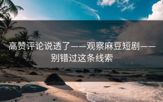 高赞评论说透了——观察麻豆短剧——别错过这条线索
