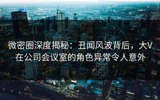 微密圈深度揭秘：丑闻风波背后，大V在公司会议室的角色异常令人意外