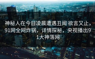 神秘人在今日凌晨遭遇丑闻 欲言又止，91网全网炸锅，详情探秘，央视播出91大神落网