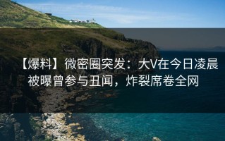 【爆料】微密圈突发：大V在今日凌晨被曝曾参与丑闻，炸裂席卷全网