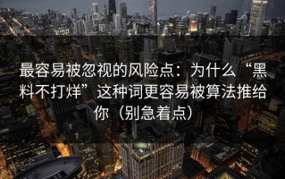 最容易被忽视的风险点：为什么“黑料不打烊”这种词更容易被算法推给你（别急着点）