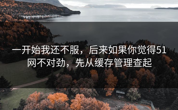 一开始我还不服，后来如果你觉得51网不对劲，先从缓存管理查起